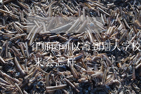 律师函可以寄到别人学校吗(被寄律师函接下来会怎样)