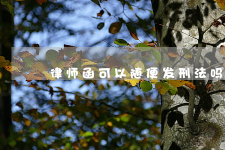 律师函可以随便发刑法吗(个人能发律师函吗)