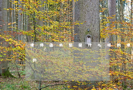 律师函外包装什么样的(律师函外包装什么样的)