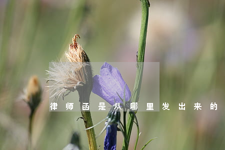 律师函是从哪里发出来的(律师函发给谁)