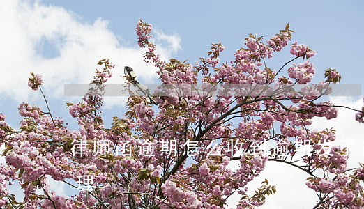 律师函逾期怎么收到(逾期发了律师函怎么处理)