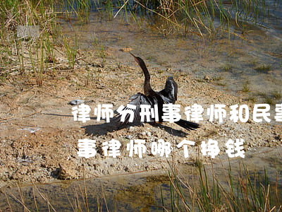 律师分刑事律师和民事律师吗(民事律师和刑事律师哪个挣钱)
