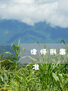 律师刑事案件收费标准(律师刑事案件收费标准)