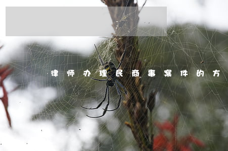 律师办理民商事案件的方法