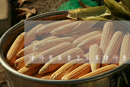 律师劳务费怎么算(律师费属于劳务费吗)