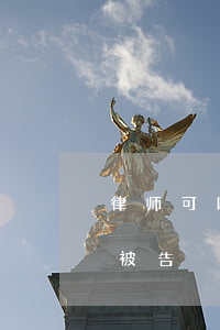 律师可以代理刑事控告吗(律师可以代理几个被告)