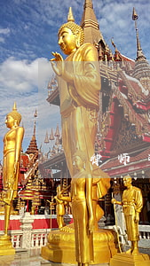 律师可以会见嫌疑人询问上诉需求吗