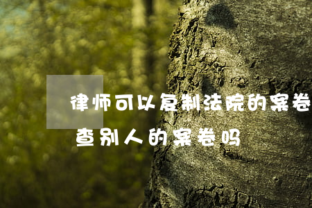 律师可以复制法院的案卷吗(律师可以去法院查别人的案卷吗)