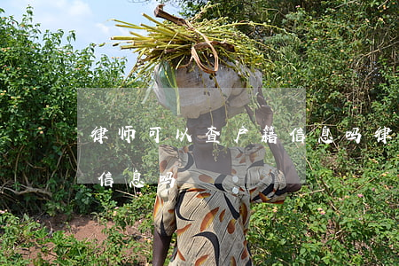 律师可以查户籍信息吗(律师能查询个人身份信息吗)