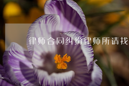 律师合同纠纷律师所(请找律师事务所)