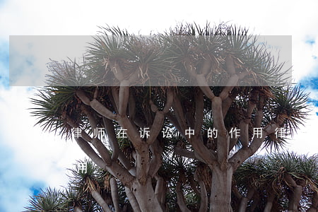 律师在诉讼中的作用(律师在民事诉讼中的作用)