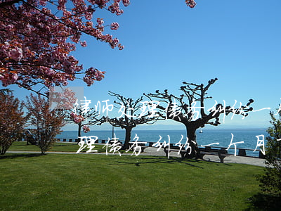 律师处理债务纠纷一个月了没动静-律师处理债务纠纷一个月了没动静正常吗
