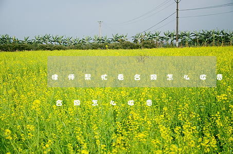 律师帮忙看合同怎么收费(请律师帮忙看一下合同怎么收费)