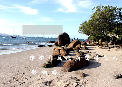 律师开庭没有逻辑怎么办(开庭只有律师去有影响吗)