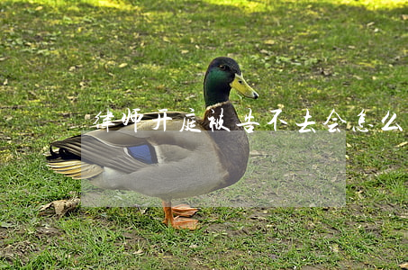律师开庭被告不去会怎么样
