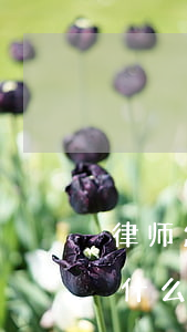 律师怎么接案子(律师接到案子之后应该做些什么)