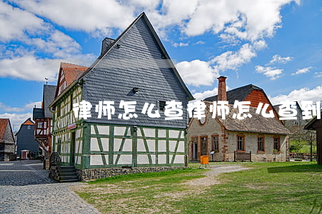 律师怎么查(律师怎么查到你所有的信息)
