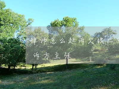 律师怎么起诉欠钱二审(二审律师费如何向败诉方主张)