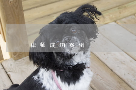 律师成功案例
