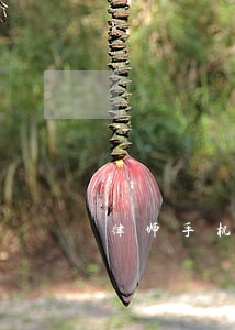 律师手机号码(孝感市律师手机号码)
