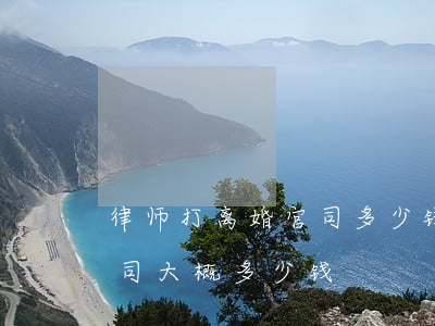 律师打离婚官司多少钱(找律师打一场离婚官司,大概多少钱?)