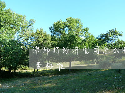 律师打经济官司怎么收费(律师打官司怎么收费标准)