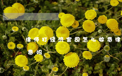 律师打经济官司怎么收费(律师是打完官司收费吗)