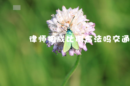 律师抽成比例合法吗(交通事故律师抽成比例)