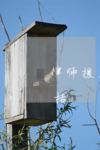 律师援助是一种什么制度(法律援助的对象包括)