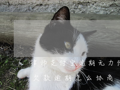 律师支付宝逾期无力偿还怎么协商-支付宝欠款逾期怎么协商