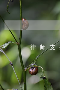 律师支招：交通事故损害赔偿纠纷如何立案？