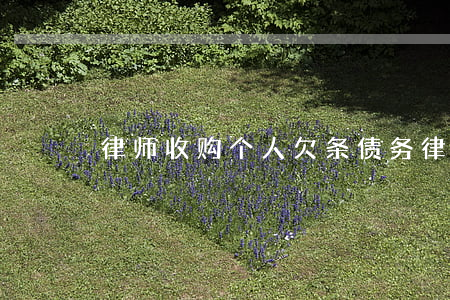 律师收购个人欠条债务(律师收债公司)