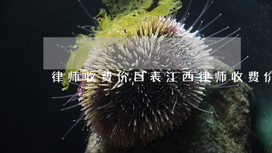 律师收费价目表江西(律师收费价格)