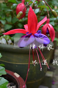 律师收费后不办事 费用如何退(律师不办事可以退钱吗?)