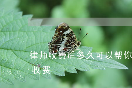 律师收费后多久可以帮你办案(律师先办事后收费)