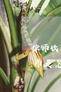 律师收费过高可以告诈骗吗(处理诈骗案件律师是怎么收费的)
