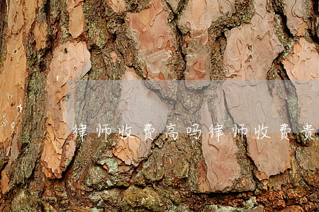 律师收费高吗(律师收费贵吗)