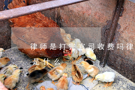 律师是打完官司收费吗(律师打官司收费标准是什么)