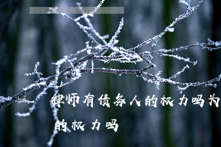 律师有债务人的权力吗为什么（律师有债务人的权力吗）