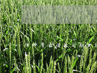 律师有权催缴逾期欠款吗(追欠款律师)