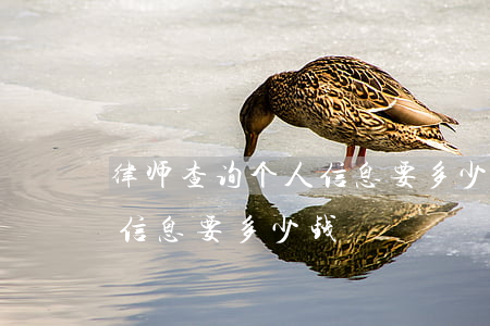 律师查询个人信息要多少钱(找律师查询户籍信息要多少钱)