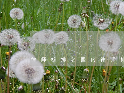 律师榜排名(国内律师排名)