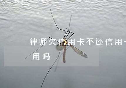 律师欠信用卡不还（信用卡逾期请律师协商有用吗）