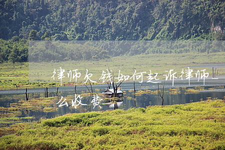 律师欠钱如何起诉律师-律师打欠钱官司怎么收费