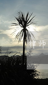 律师正常收费是多少(律师标准收费是多少)
