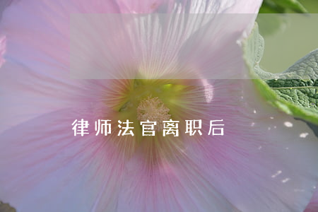 律师法官离职后