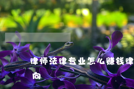 律师法律专业怎么赚钱(律师最赚钱的法律方向)