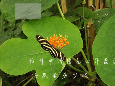 律师申请信息公开需要多少钱(律师查询个人信息要多少钱)