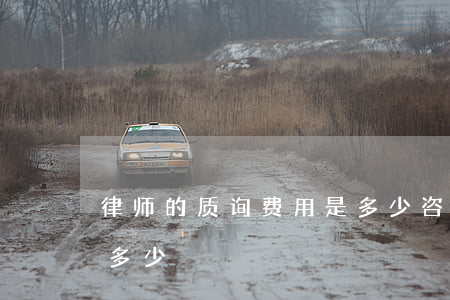 律师的质询费用是多少(咨询律师收费标准是多少)