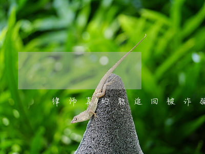 律师真的能追回被诈骗的钱吗